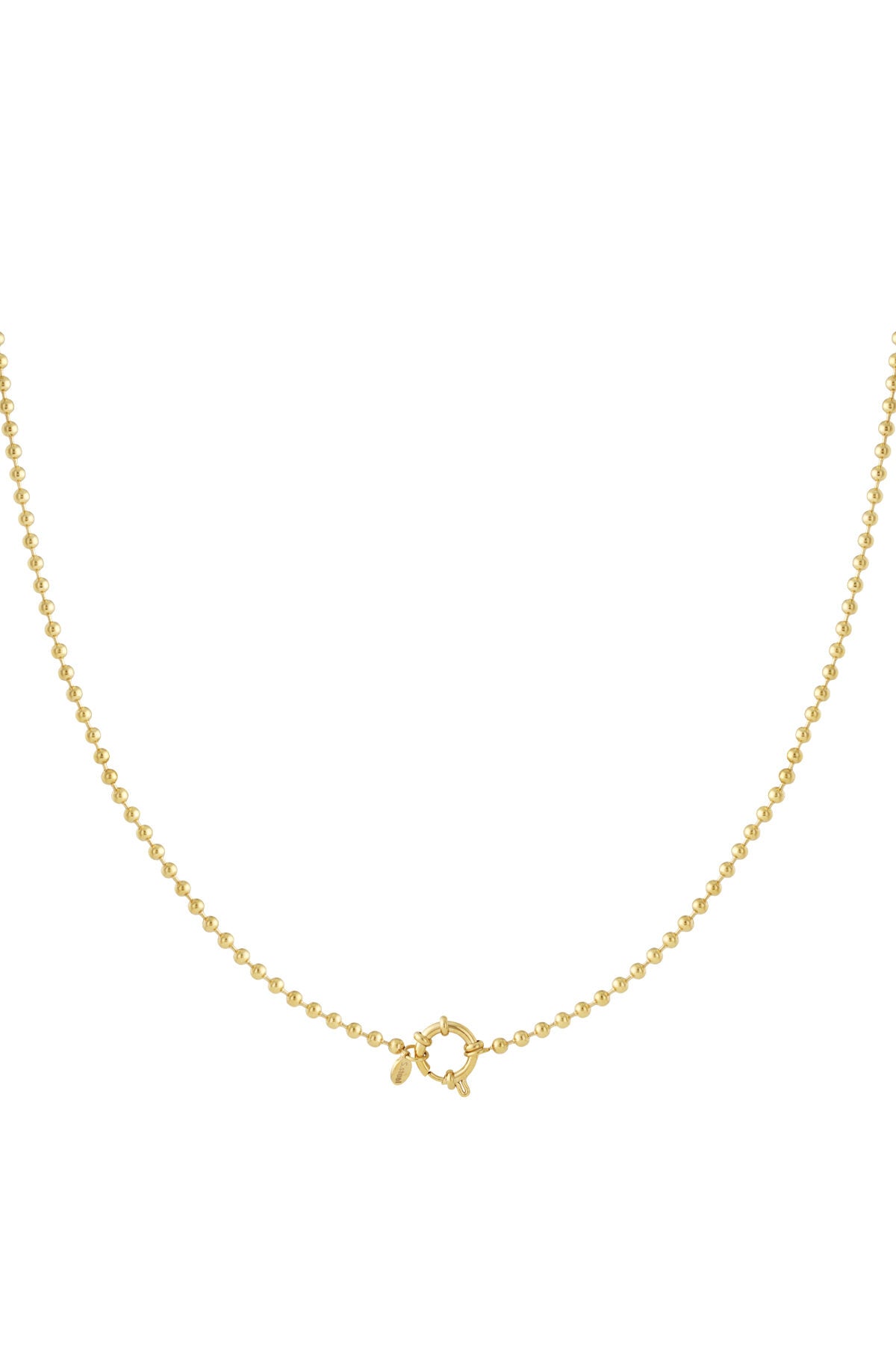 Roestvrijstalen kettingen Geometrisch Casual Dagelijks Eenvoudig Serie Dames sieraden
