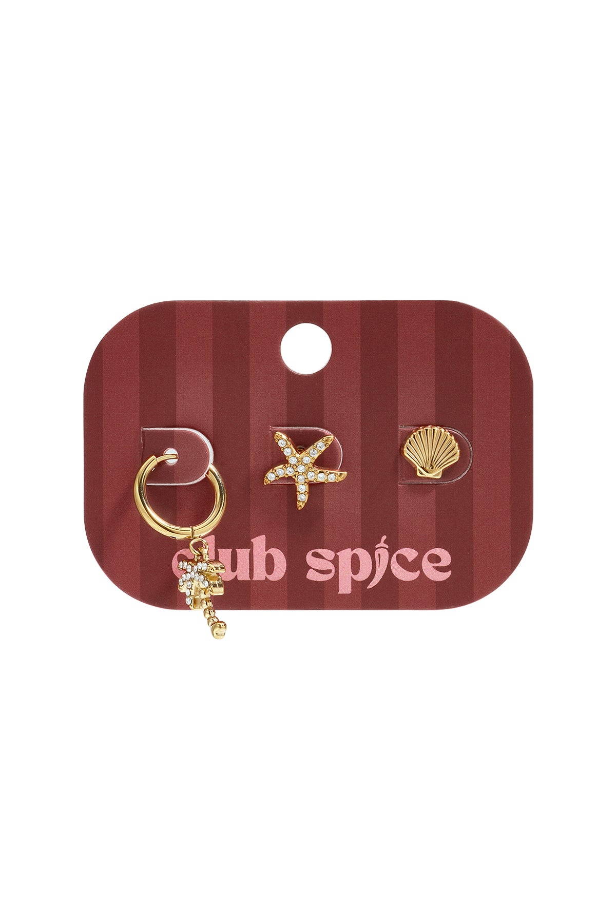 Roestvrijstalen oorbellen setjes Starfish Simple Daily Simple serie dames sieraden