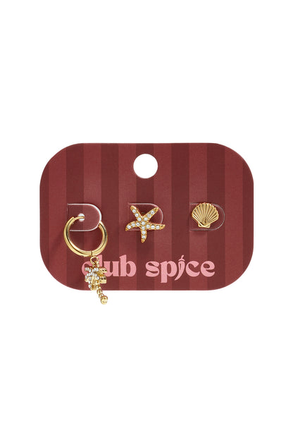 Roestvrijstalen oorbellen setjes Starfish Simple Daily Simple serie dames sieraden
