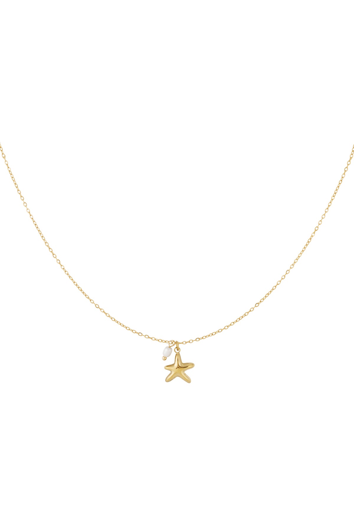 Zeester ketting