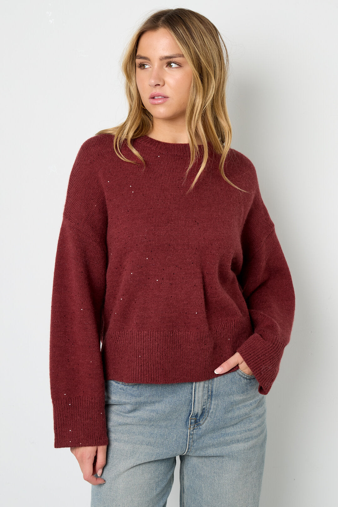 Gebreide Polyestervezel Vrouwen Truien Casual Effen Kleur Herfst/Winter