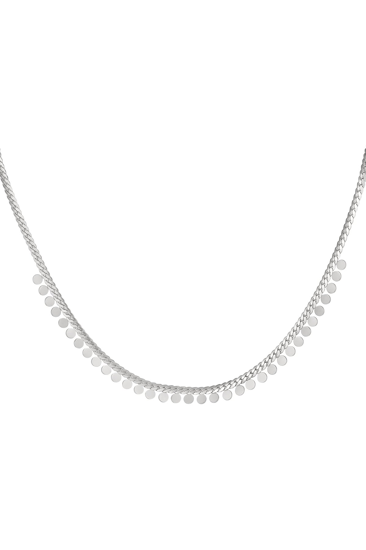 Ketting muntjes - Zilver Stainless Steel