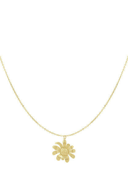 happy daisy ketting
