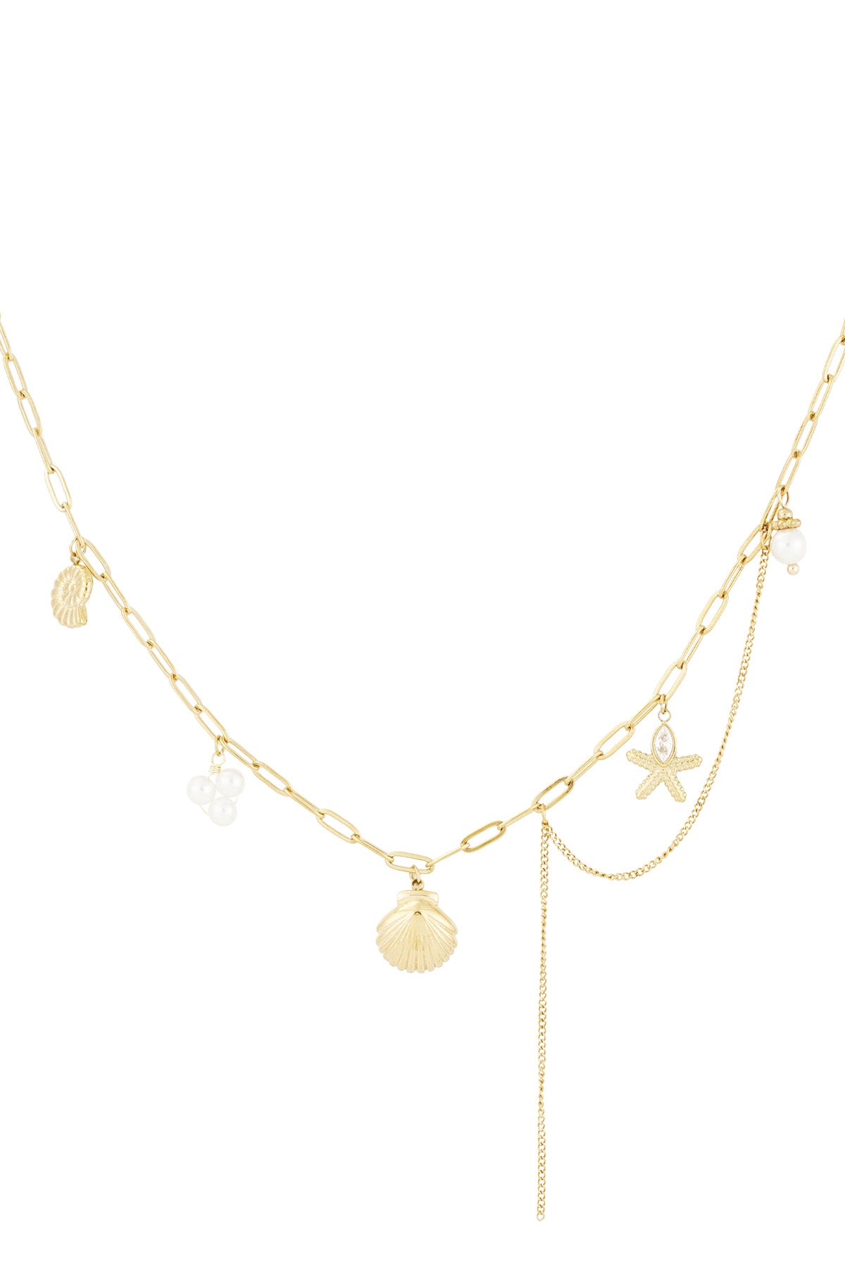 sea shell ketting