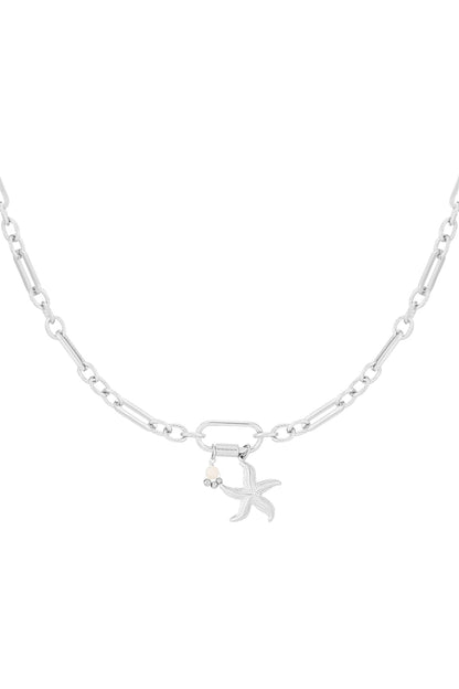 ketting starfish dinner