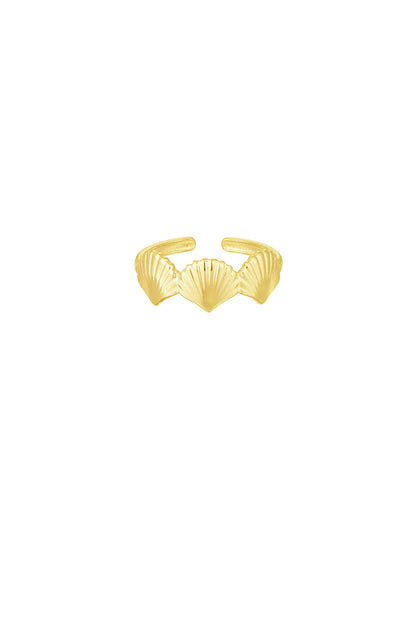 ring sea shell lover