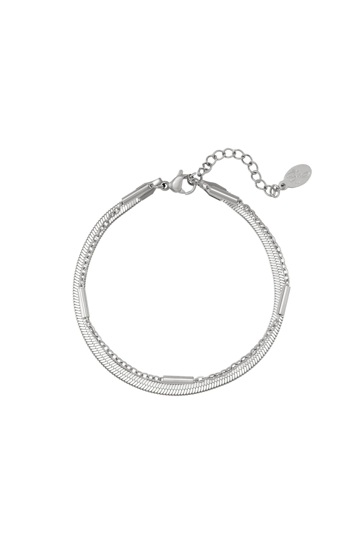 Roestvrij stalen armband dubbel geketend Zilver Stainless Steel