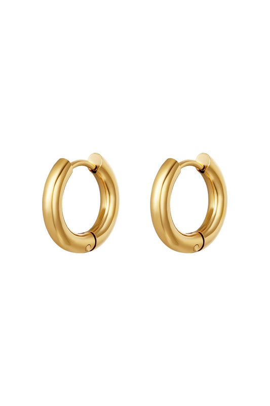 Basic creolen oorbellen - klein Goud kleur Stainless Steel