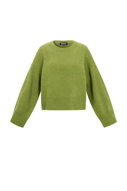 Gebreide Polyestervezel Vrouwen Truien Casual Effen Kleur Herfst/Winter