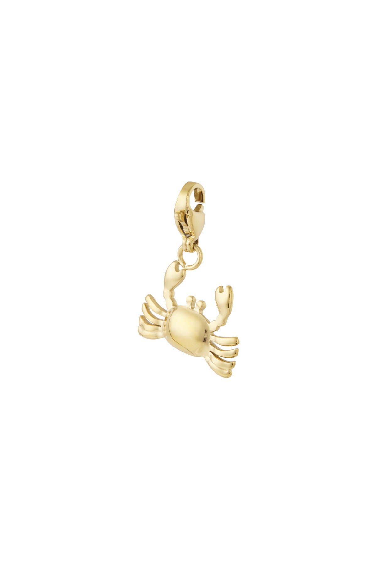 Krab sieraden bedel