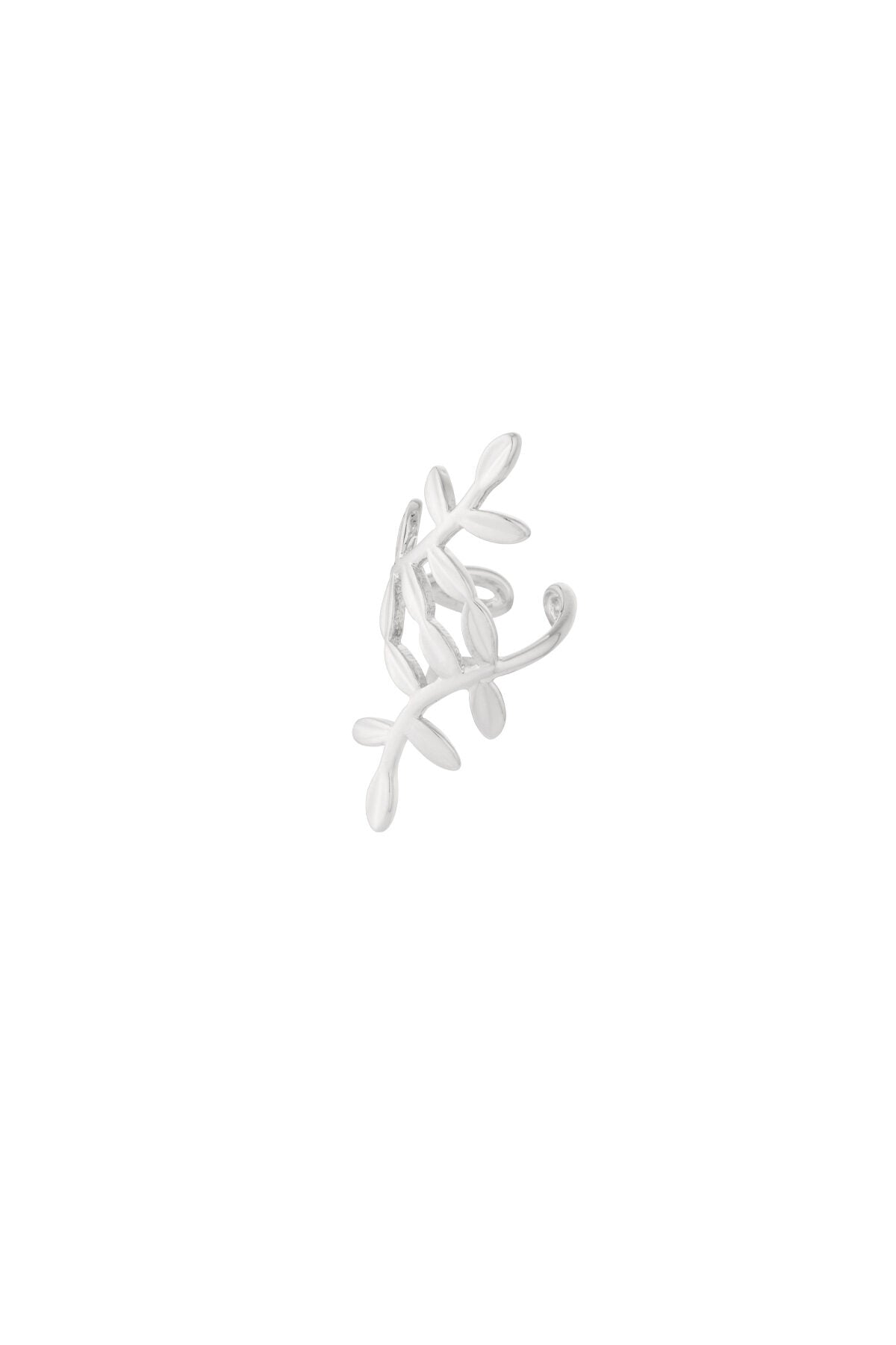 Ear cuff plant