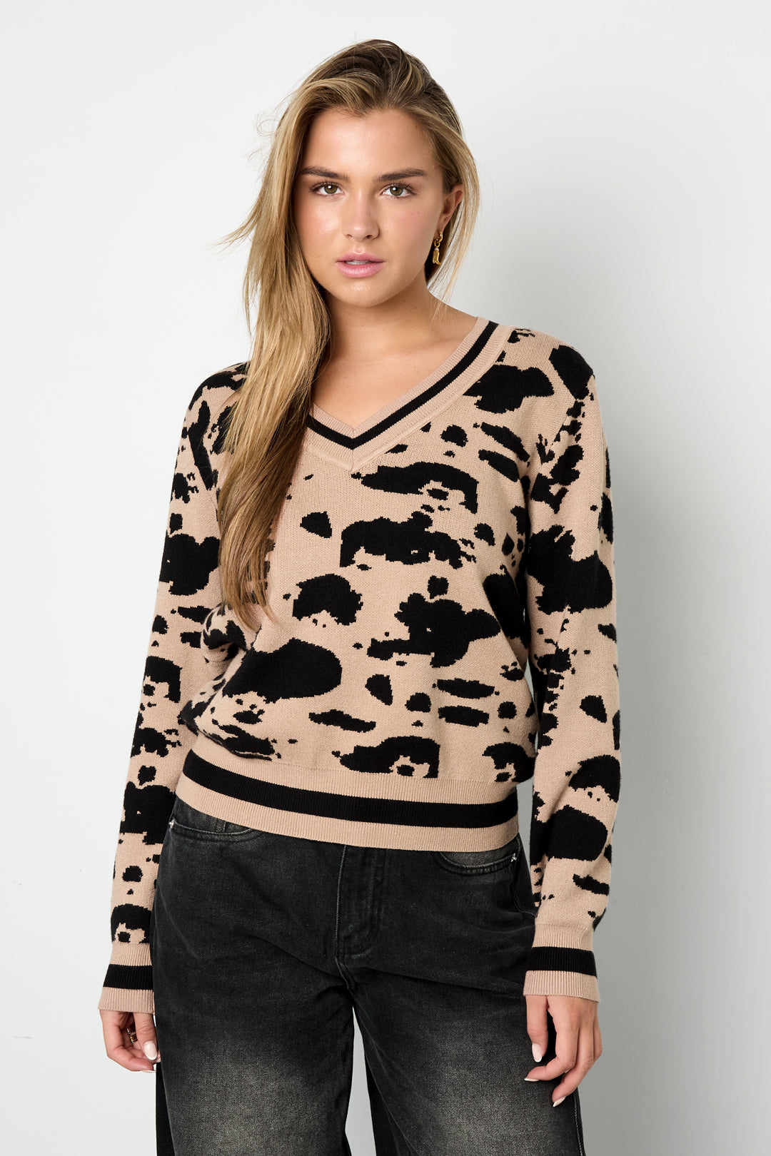 Gebreid (inclusief haakwerk en wolstof) Luipaardprint V-hals Trui voor Dames Herfst/Winter Casual