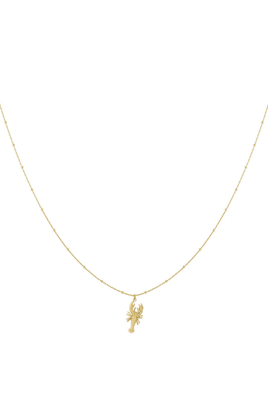   Hangerkettingen Animal Casual Daily Simple Series Damessieraden