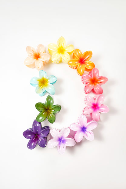 Haarclip met gradiëntbloem Hawaii love