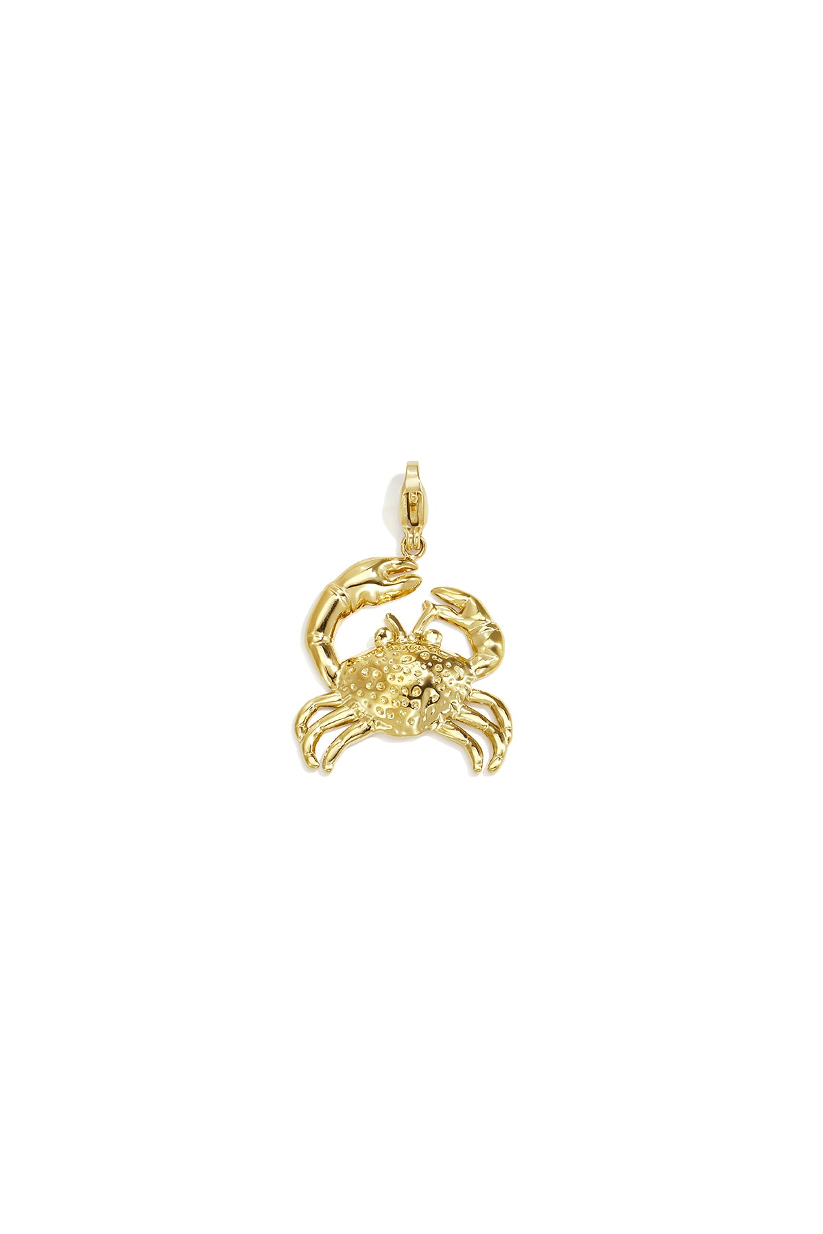 Krab sieraden bedel