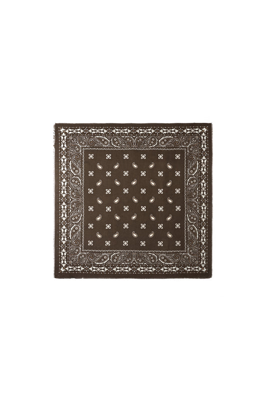 Wintersjaals met paisley-patroon, casual, polyester, dagelijkse accessoires