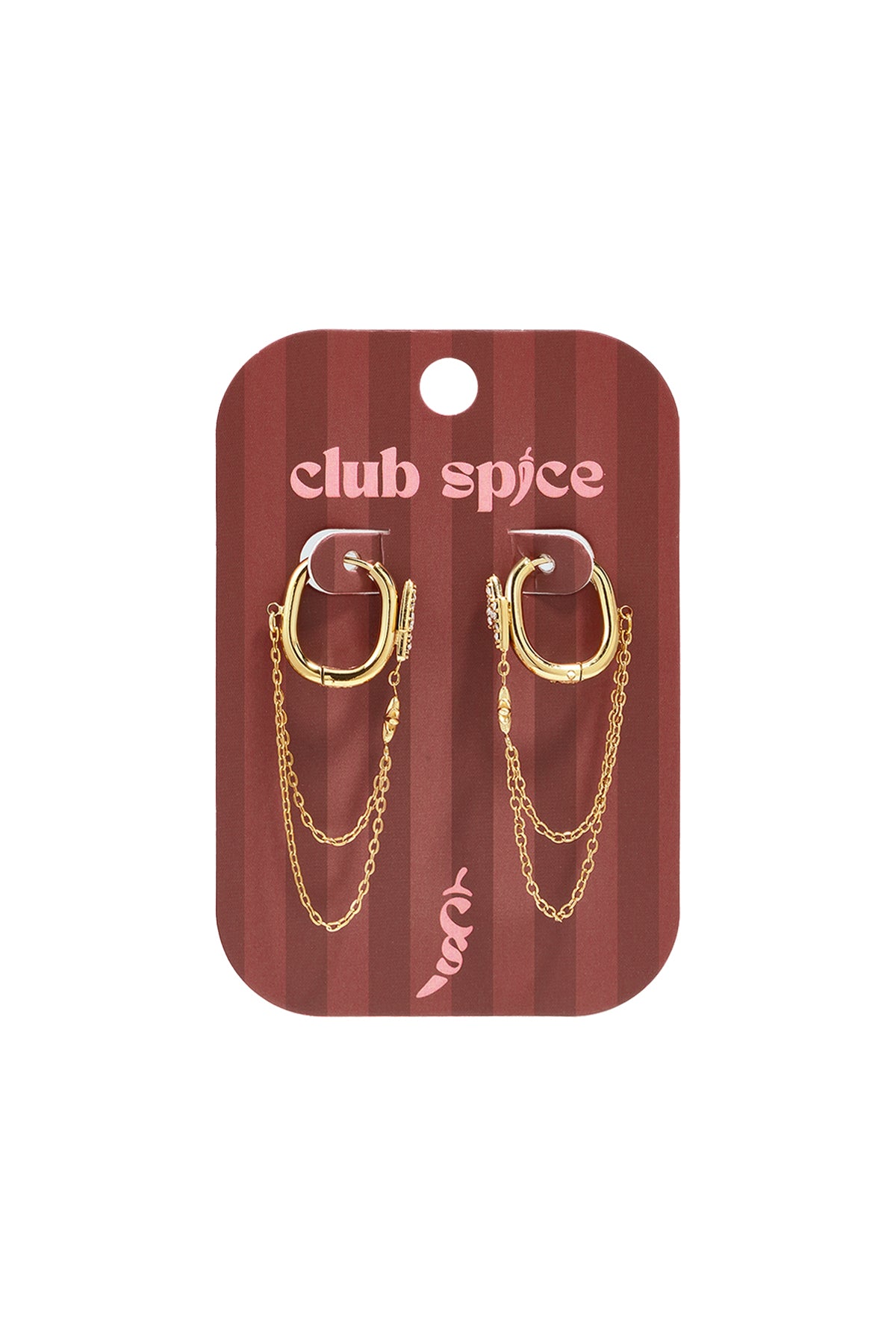 Oorbellen met hangertjes van roestvrij staal en ketting, Simple Daily Simple Series, damessieraden