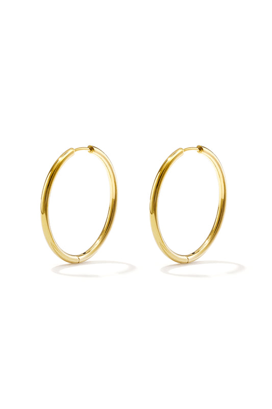 RVS oorbellen hoops klein Goud kleur Stainless Steel