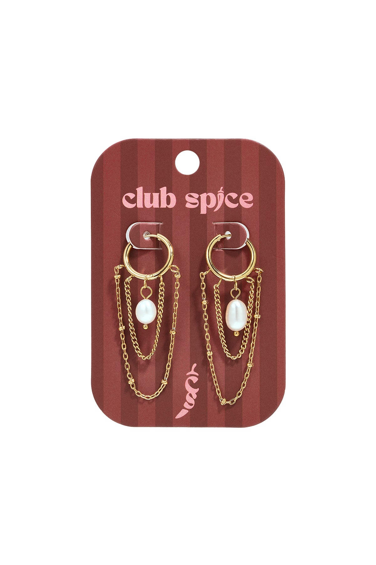 Oorbellen met hangertjes van roestvrij staal en ketting, Simple Daily Simple Series, damessieraden