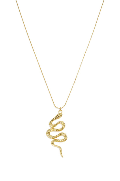 Lange roestvrijstalen ketting met slangenmotief, eenvoudige dagelijkse sieradenserie voor dames.