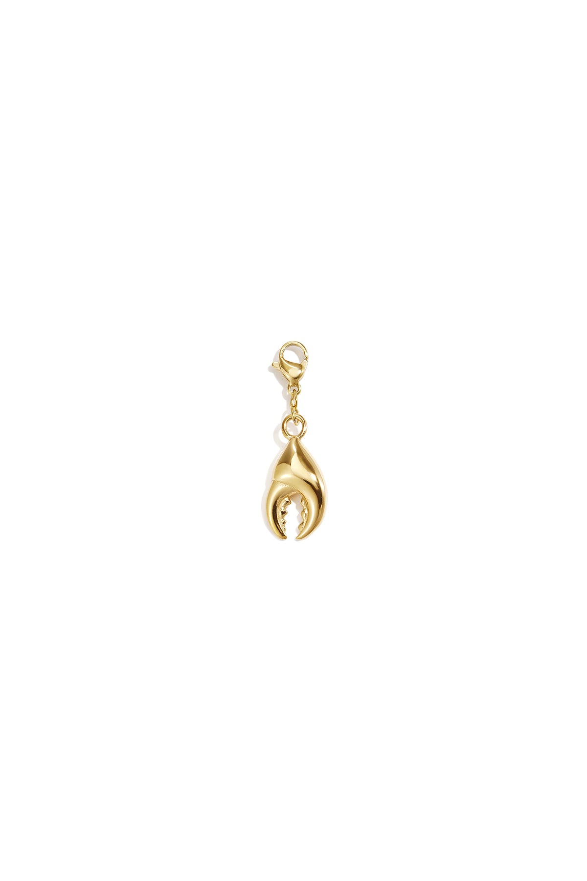 Sieradenonderdelen van roestvrij staal in oceanische stijl, eenvoudige dagelijkse sieraden uit de Simple-serie voor dames.