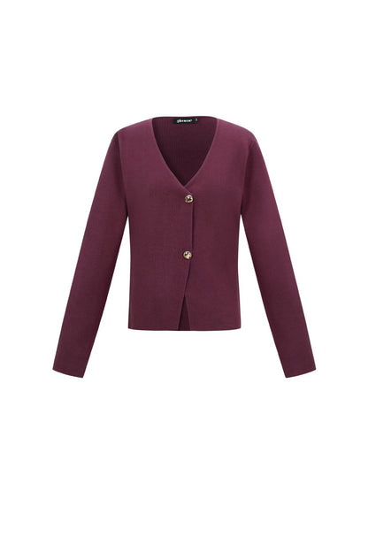 Viscose Gebreide Vrouwen Cardigan Casual Solide Kleur Herfst/Winter